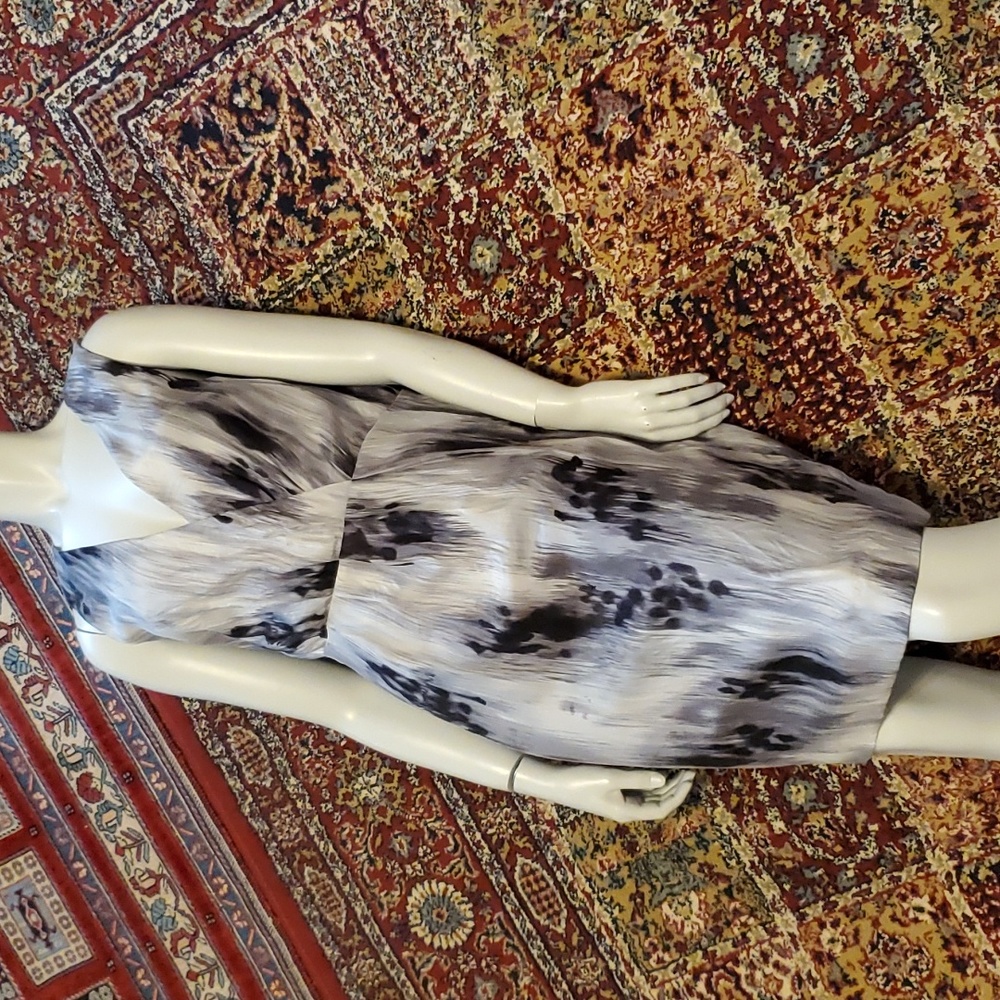 Print & Pleat Dress